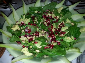 salad of spinach and gotu kola with balsamico mustard vinaigrette, chayotes, cranberries, pine nuts and pomegranate 